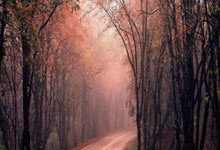 开云体育官网-河床主帅强调团队配合，迎战欧洲劲旅