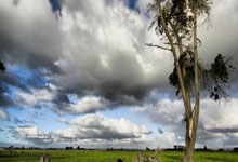 开云体育官方网站-竞技激烈，球队实力均衡：现代体育的新趋势