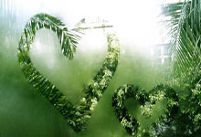 开云平台-西悉尼流浪者防守体系调整，力求守住关键战局