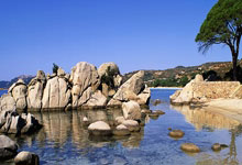 开云体育-9.42秒！人类速度极限再被粉碎——奥运会男子100米新纪录引爆全球科技革命