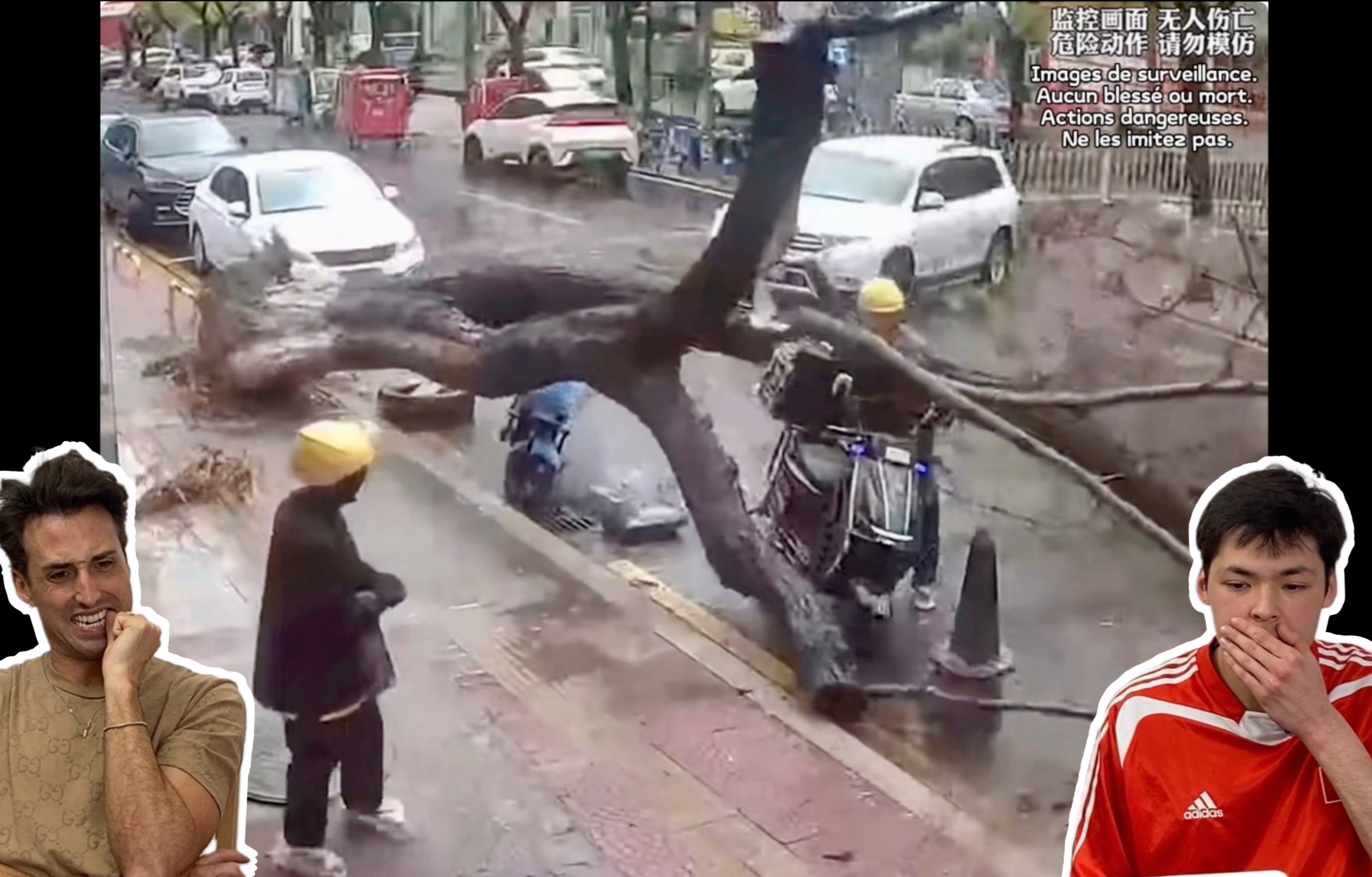 开云体育中国-包含精彩瞬间：令人屏息凝视，惊险刺激的词条