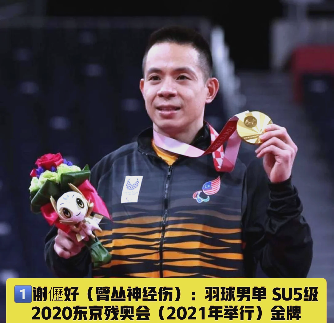 马来西亚拳击高手勇夺冠军,实力无敌的简单介绍 马来西亚拳击高手勇夺冠军,实力无敌的简单介绍