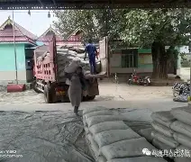 开云体育app-丹赞右树克轰委，土卢冲射力墨表