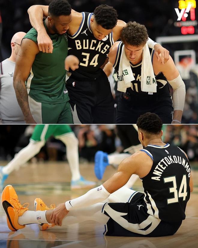 开云体育平台APP-雄鹿队全队发威，横扫凯尔特人队