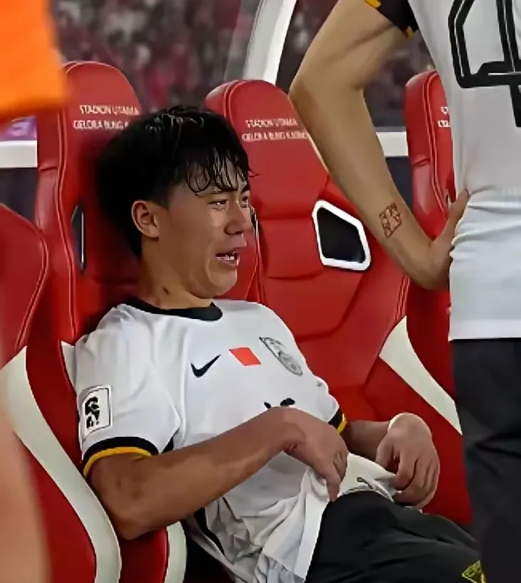 开云体育入口-马来西亚队险胜德国队，桃田贤斗统治全场的简单介绍