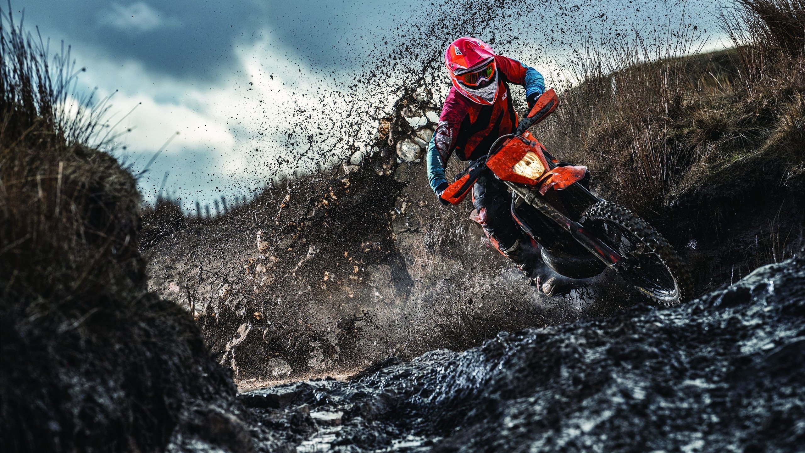 改写格局的一战，太阳如何用唯一性收割森林狼？